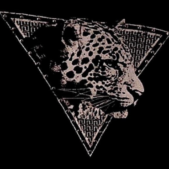 Charlotte Russe Assymetrical Off Shoulder High Low 3-D Tiger Short Sleeve Shirt - Picture 2 of 16